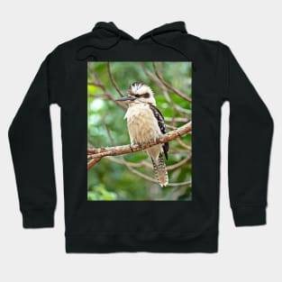 Kookaburra: Photography plus digital art Hoodie